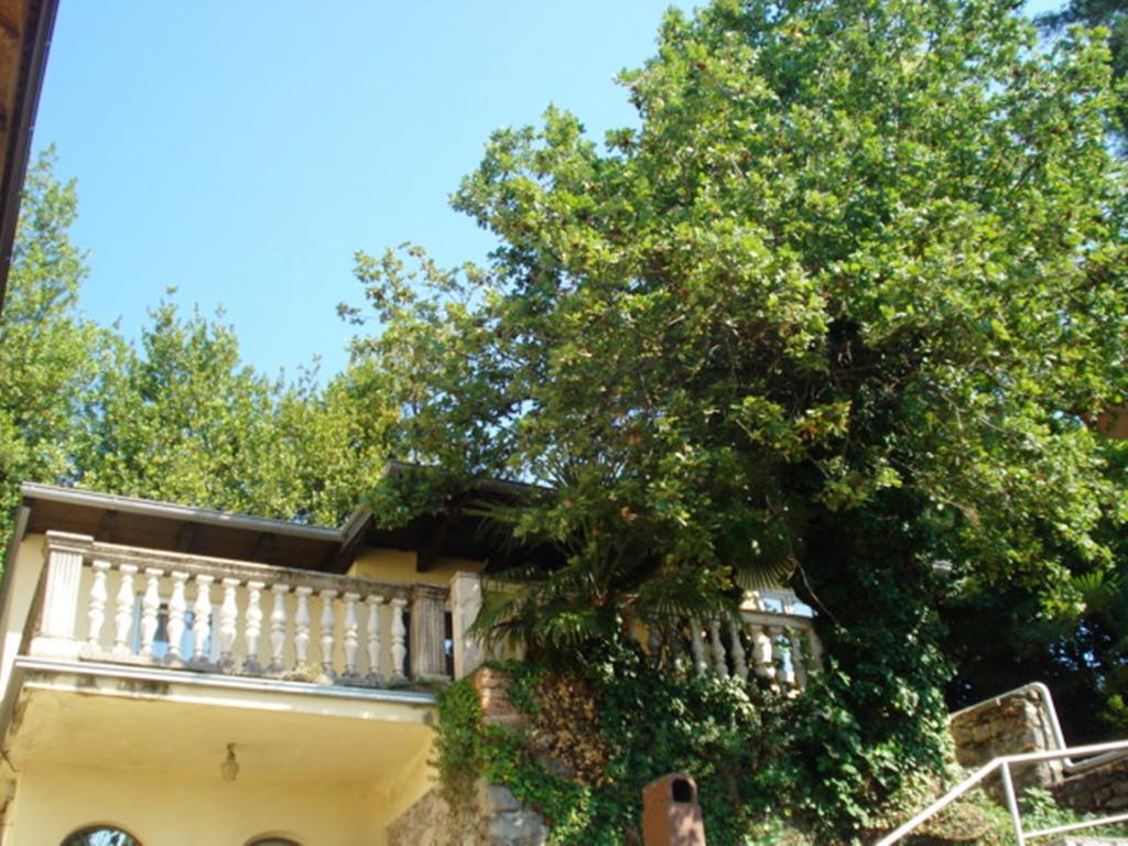 אופטיה Apartments Villa Atta חדר תמונה